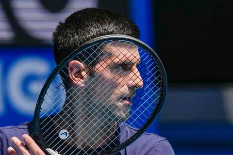 Novak Djokovic, a Master on the Court, Keeps Making Errors Off It