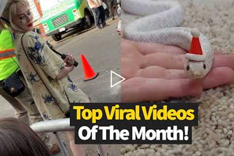 Top 30 Viral Videos Of The Month