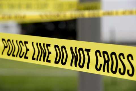 Fatal stabbing victim and two men shot dead in Denver have been identified. – ~ – ~
