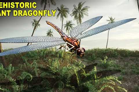 'Meganeura' - The Prehistoric Dragonfly With A Two-Foot Wingspan