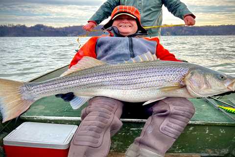 Near-Record Striped Bass Caught (and Released) in the Susquehanna River