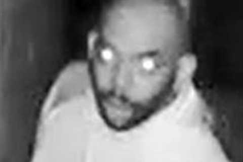 Police searching for peeping Tom in northeast Raleigh :: WRAL.com