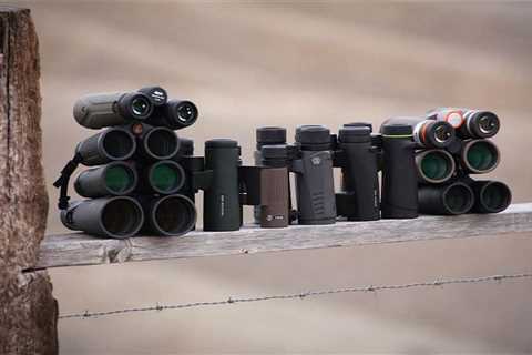 The Best Binoculars for Hunting of 2022