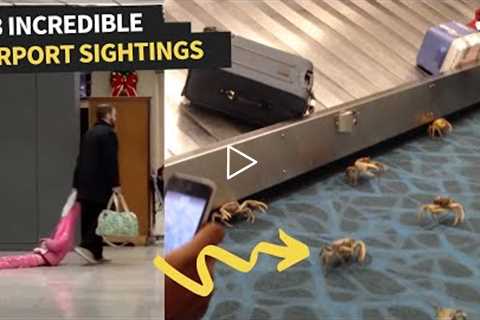 Weird Sightings At The Airport That Will Make You Laugh