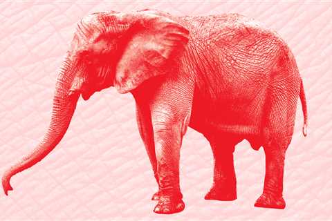 Why Indiana’s GOP Can’t Be Trumped – Indianapolis Monthly