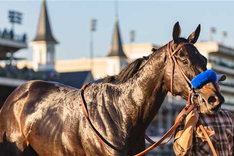 Medina Spirit Was Pulled by the Forelegs Into a World That Let Him Down