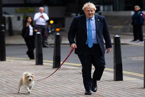 Local elections 2022: Boris Johnson and Keir Starmer hold their breath as they wait for crucial Red ..