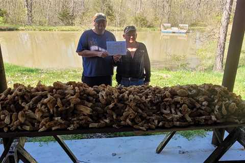 Two Iowa Men Find Nearly 200 Pounds of Morels