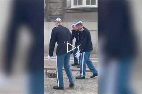 Danish Royal Life Guards escort duck family out of Queen's residence