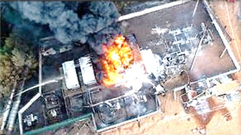 Scientists Just Made A Worrying Discovery After Finding This Inside Chernobyl's Exclusion Zone