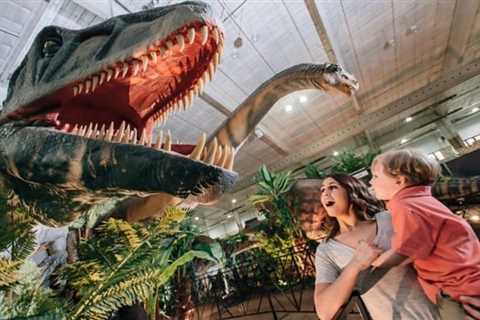 Dinosaurs will stomp into San Antonio in August at Jurassic Quest