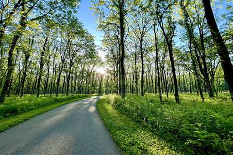 One Of The Best Hikes In Indiana Is The Paved Harrison Trace Trail