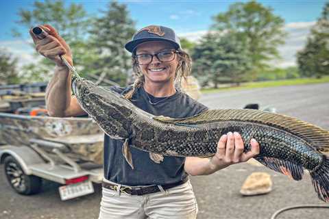 Maryland Will Pay You to Catch, Kill, and Report Tagged Northern Snakeheads