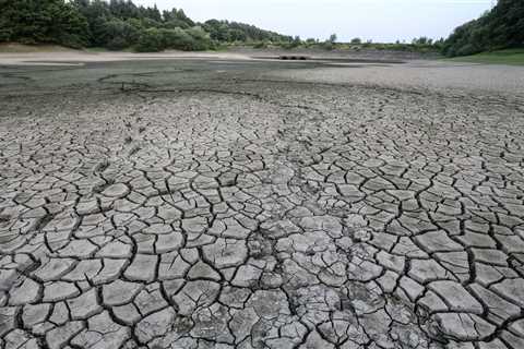 Britain on verge of worst drought since 1976 with strict hosepipe bans likely as weather hots up..