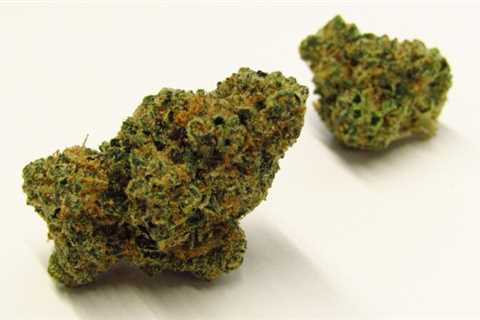 Marshmallow OG Strain Review | west word – ~ News – ~