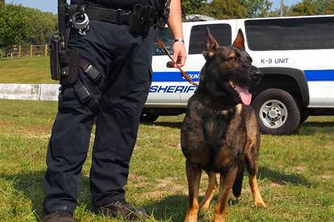 Man Arrested for Bail Jumping with Assistance of Police K-9 Unit