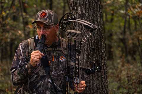 The Best Deer Calls of 2022