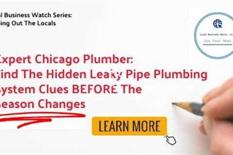 Expert Chicago Plumber: Find The Hidden Leaky Pipe Plumbing Clues Before The Season Changes #shorts