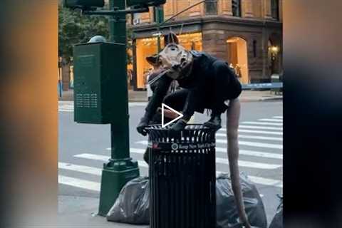 Street performer roams around NYC dressed as a giant rat