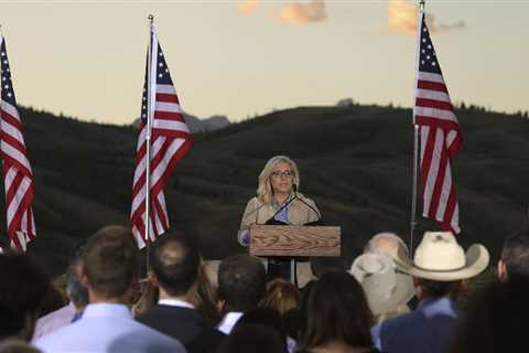 US Rep. Liz Cheney’s defeat in her Wyoming primary sends a message – Chicago Tribune