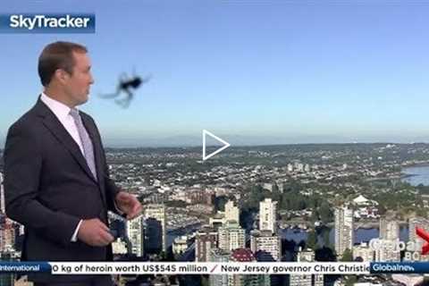 Weather anchor surprised by spider