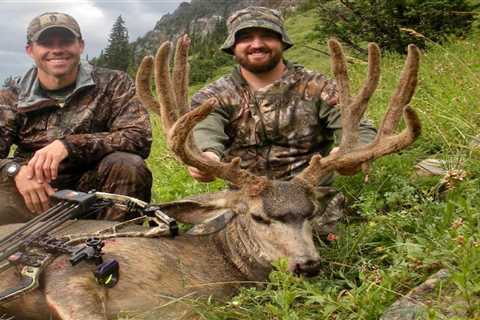 Here’s What It Takes to Bowhunt Giant Mule Deer Bucks in Utah’s High Deserts—in August