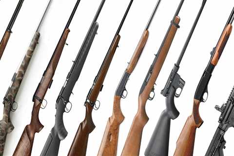 The Best Rimfire Rifles