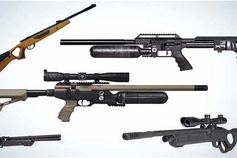 The Best .22 Air Rifles for Hunting, Competition, and Backyard Shooting