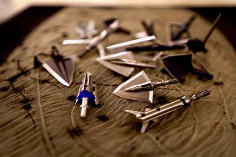 The Best Broadheads of 2022