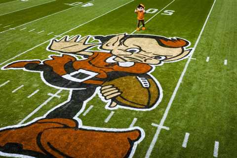 Brownie the Elf, the new midfield logo for the Cleveland Browns, explained