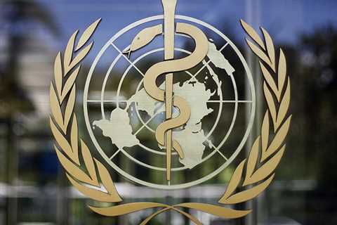 At the WHO conference, the Israeli Ministry of Health condemned Russia’s invasion of Ukraine – •