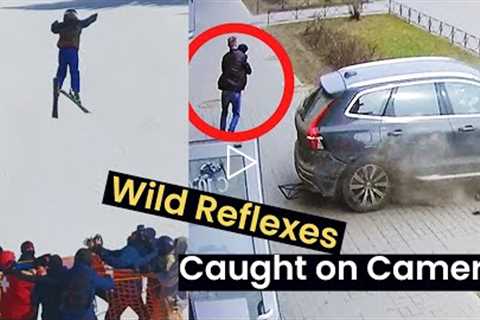 Wildest Reflexes Caught on Camera