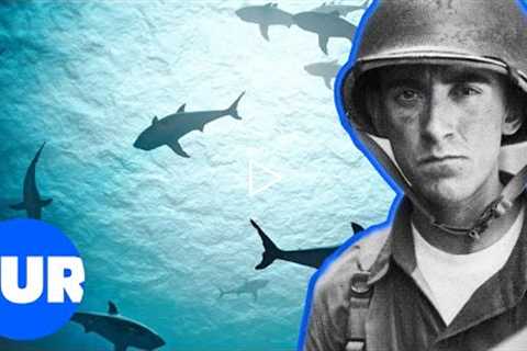 The Prisoners Of War That Were Trapped In Shark Infested Waters | Our History