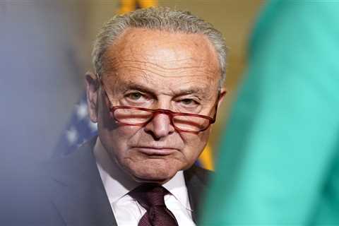 Schumer 2.0: How a surprise same-sex marriage decision explains the Senate leader