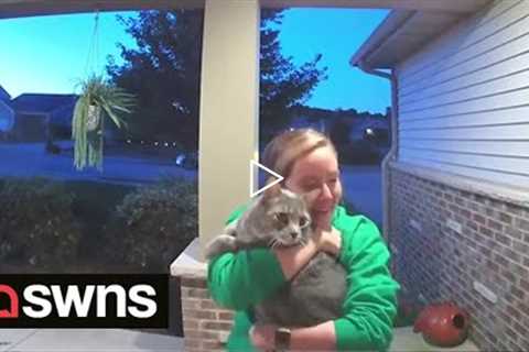 Doorbell cam captures emotional moment cat owner is reunited with lost pet | SWNS