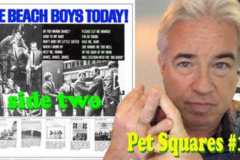 PET SQUARES #13 - Today! Side 2 (Geek's Guide to the Beach Boys)