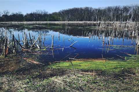 U.S. Supreme Court mulls federal water rules, wetlands designations in Idaho case ⋆