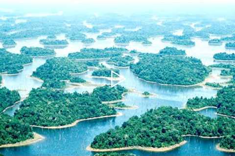 Scientists Have Just Found Thousands Of Untouched Island In The Middle Of The Amazon Jungle