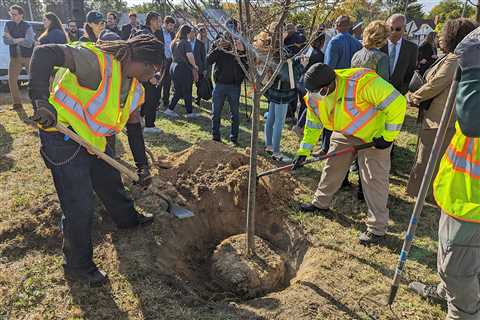 Detroit bets on trees – BridgeDetroit