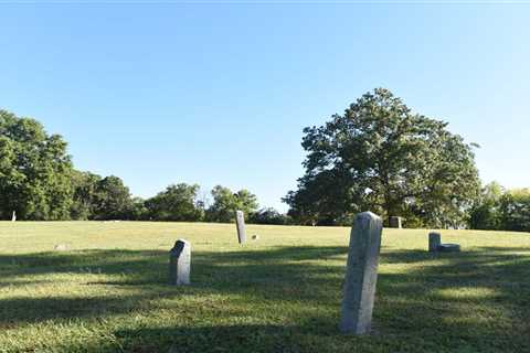 Danville hopes to beautify city’s first Black cemetery