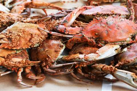 A Billion Crabs Have Disappeared & Researchers Can’t Explain Why