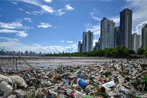 The international issue of plastic contamination needs an international option