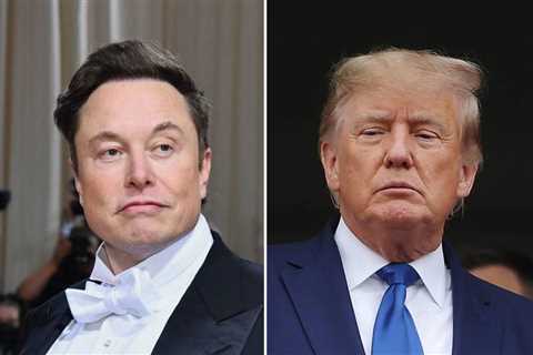 Trump celebrates Musk’s Twitter takeover