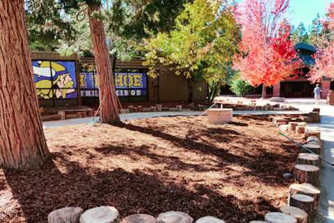 Volunteers clear space at South Tahoe High for new quad with donated benches and tables | South..