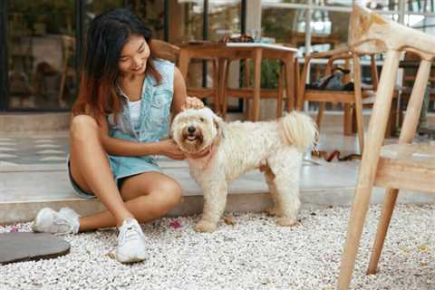 The 5 best dog-friendly patios in Houston