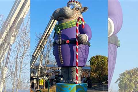 Cincinnati Zoo pays tribute to hippos with new nutcracker statue