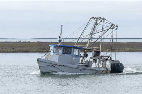 Texas Oyster Fishing at a ‘Crossroads’