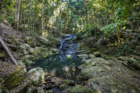 Sunshine Coast Local