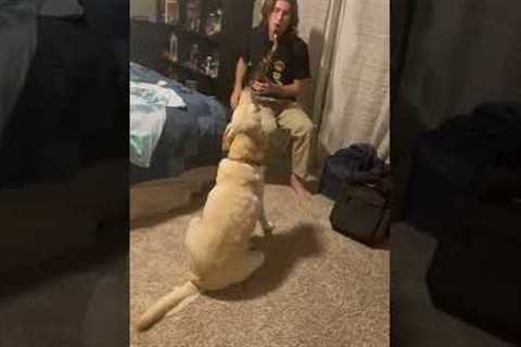 The cutest jazz duo! Guy plays saxophone while dog howls along