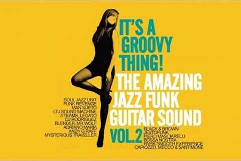 The Amazing Acid Jazz Funk Sound : It''''s a Groovy Thing! vol 2